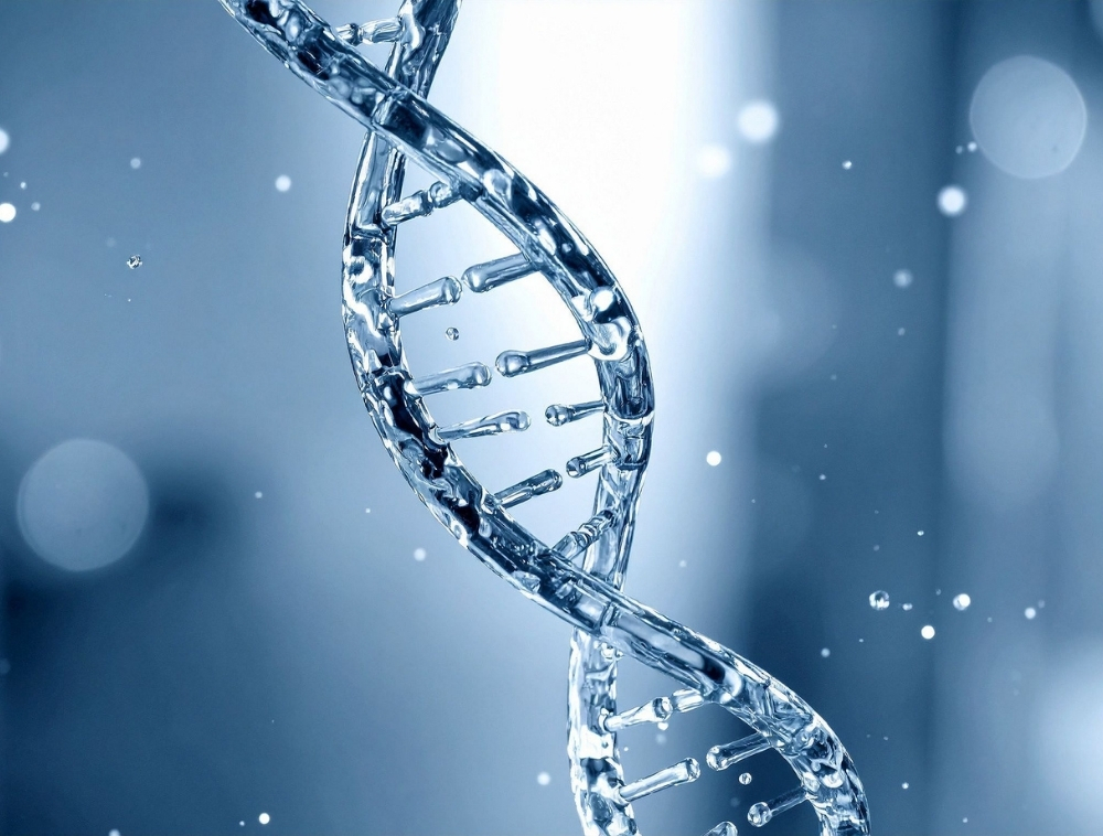 epigeneticabig